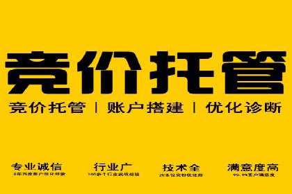 SEM代运营推广公司成功案例，助力企业抢占市场份额